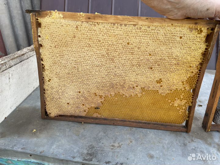 Медовые рамки