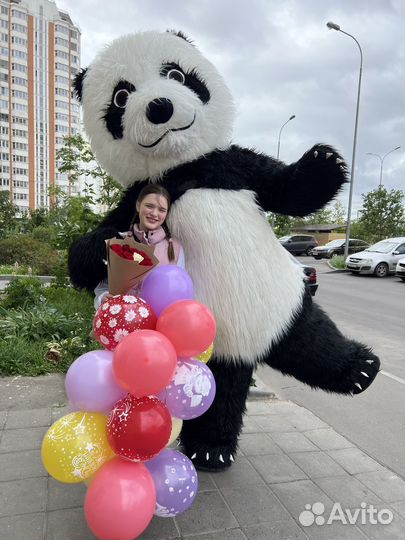 Поздравление от Панды; Медведя белого