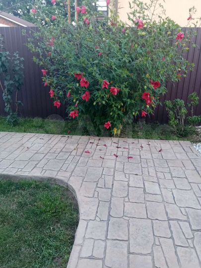 Дом 120 м² на участке 6 сот.