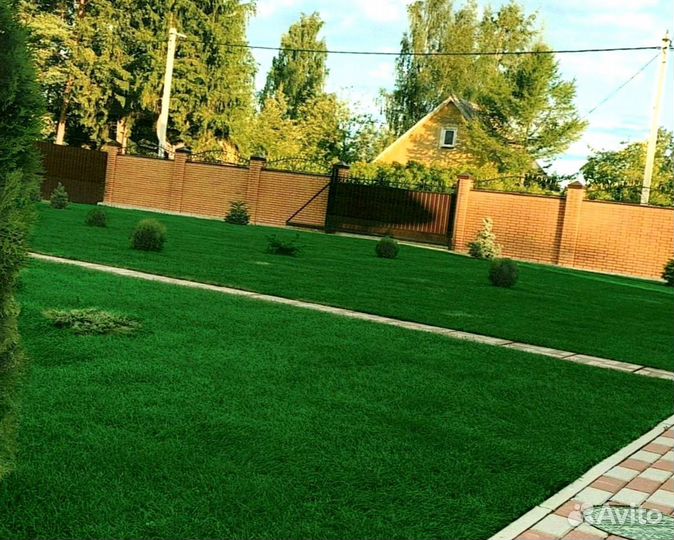 Рулонный газон