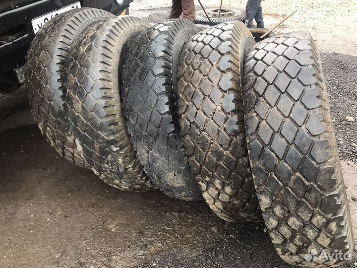 Резина маз 12.00 r20