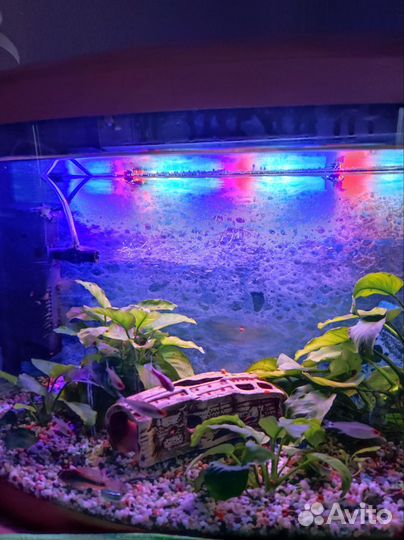 Аквариум