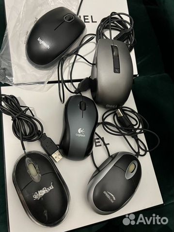 Компьютерная мышь. Устройство управления курсором