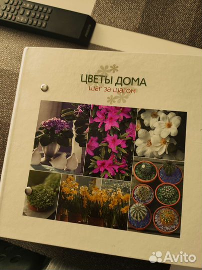 Цветы дома. Шаг за шагом. Набор карточек