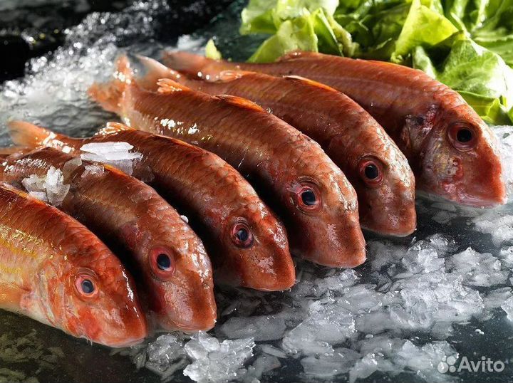 Продам готовый бизнес – рыбный магазин