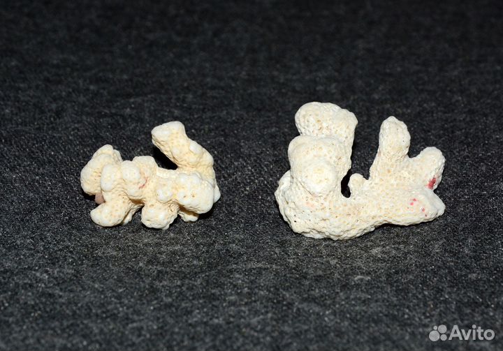 Кораллы для творчества и декора (3 и 4 см)