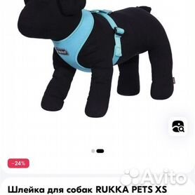 rukka - Домашние и сельскохозяйственные животные: купить недорого вСанкт-Петербурге