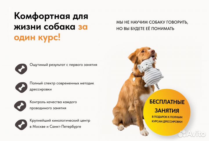 Услуги кинолога с выездом / Зоопсихолог