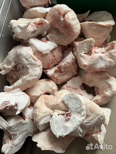 Курдюк в Уфе