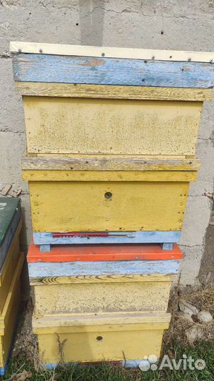 Улей для пчел