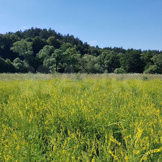 Участок 6,3 га (СНТ, ДНП)