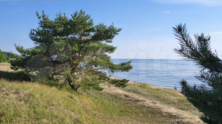 Участок 15 сот. (СНТ, ДНП)