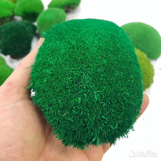 Кочка европейская стабилизированная