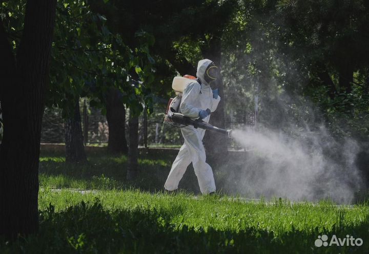 Уничтожение клопов тараканов грибка плесени