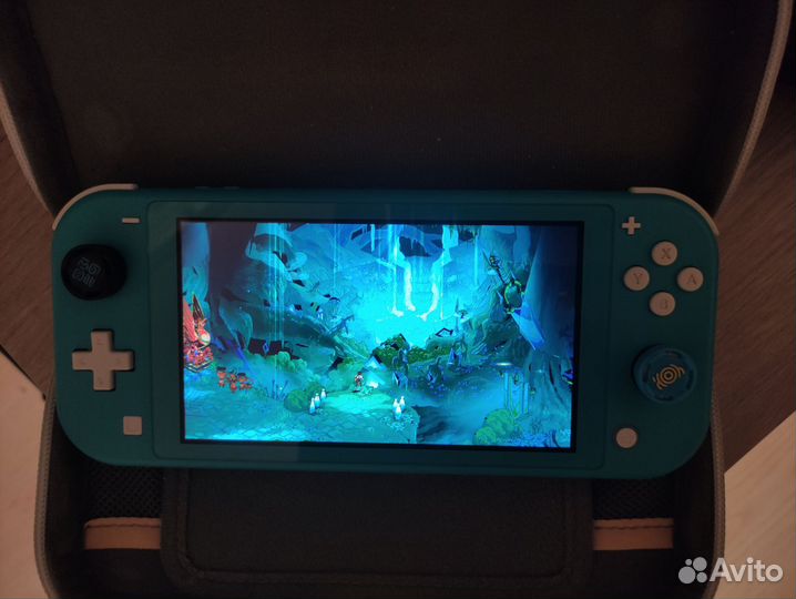 Nintendo switch lite