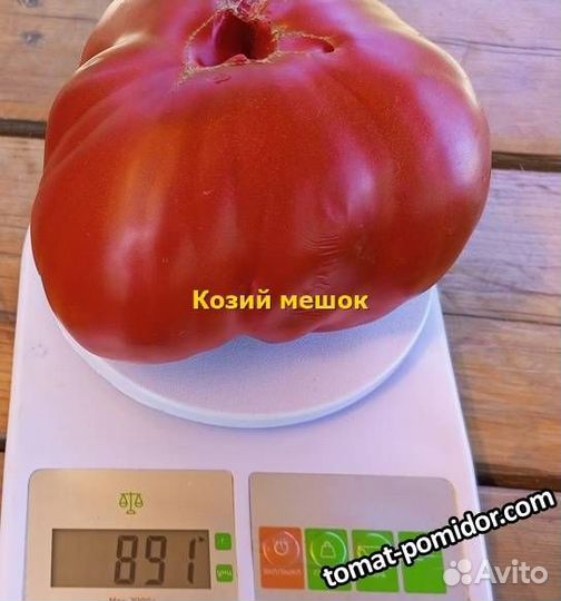 Рассада сортовых помидор и перцев, черри, крупные