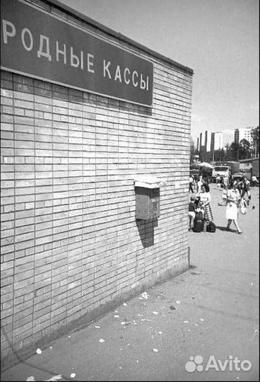 Зеленоград СССР 3798 фото + 1,7 млн фото городов