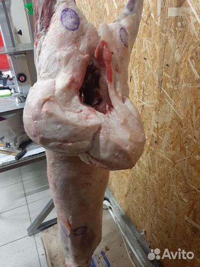 Мясо баранина говядина халяль