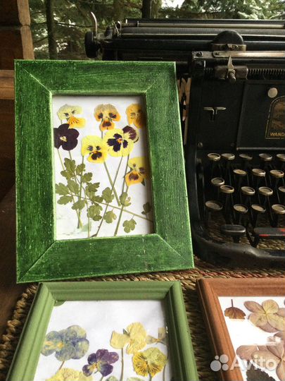 Ботанические панно из сухоцветов в рамках