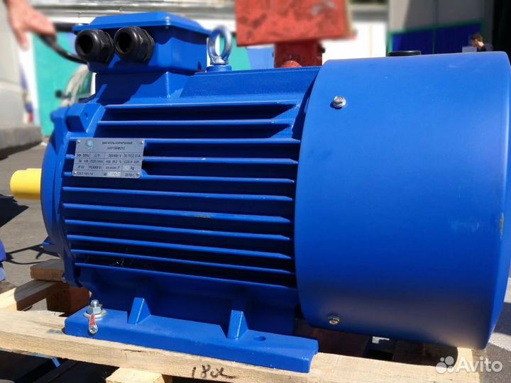 Электродвигатель аир 280М8 (75кВт/750об.мин)