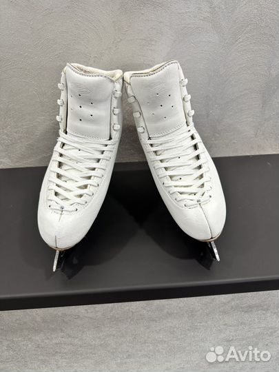 Коньки Edea chorus 245 на Legacy 9 1/4