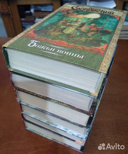 Цикл книг Анджея Сапковского про ведьмака