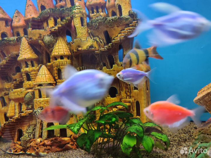 Аквариум с тумбой бу