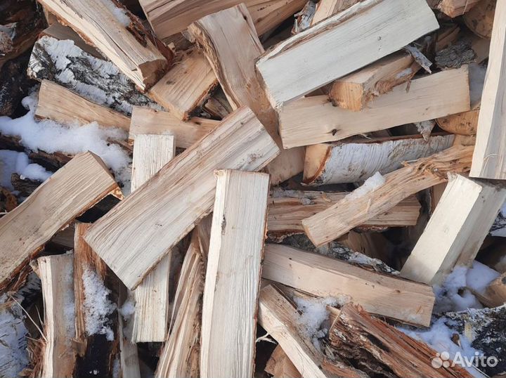 Дрова береза