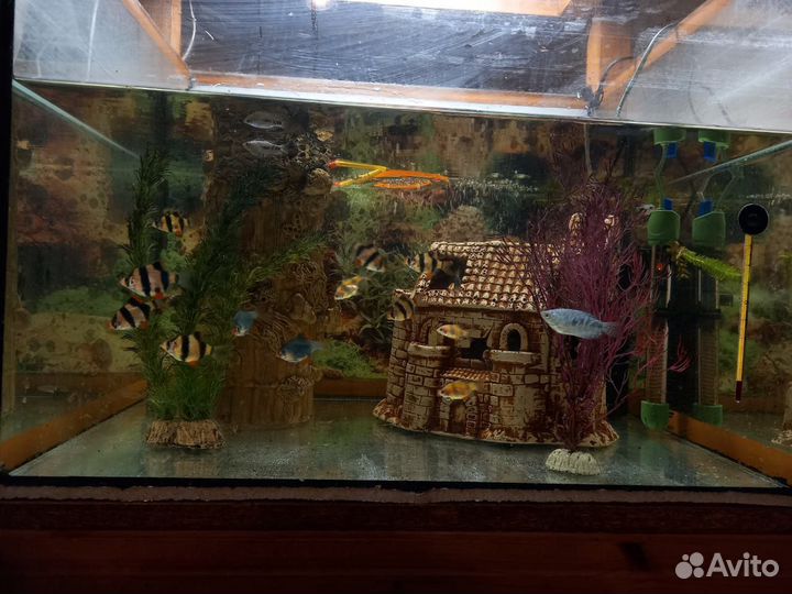 Аквариум