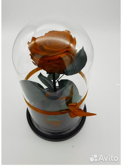 Завод. Вечная Роза в колбе. Много моделей