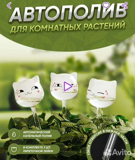 Автополив для цветов