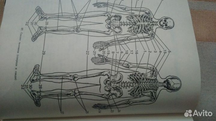 Учебник - пособие Юного художника