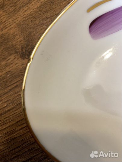 Селедочница хайта