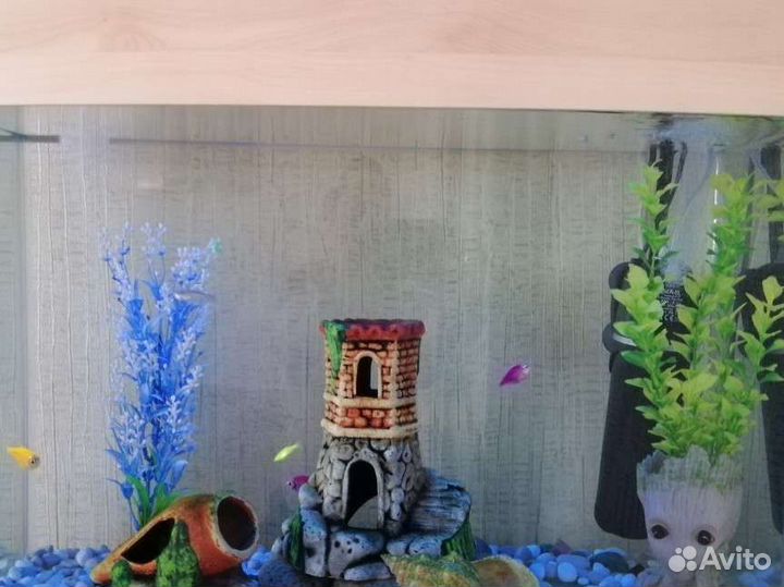 Аквариум