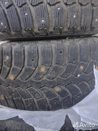 Bridgestone Blizzak DM-V1 235/55 R17 103T