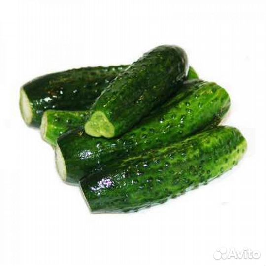 Огурцы солёные бочковые
