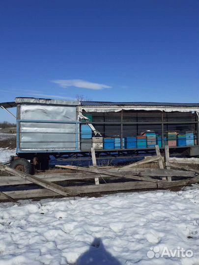 Пчеловодческий павильон