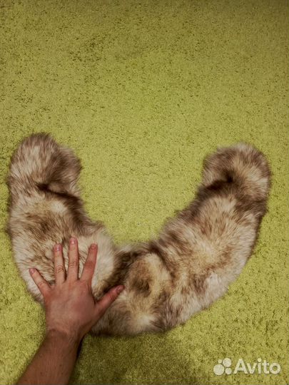 Воротник песец