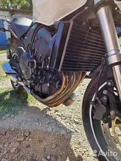 Продаётся honda hornet