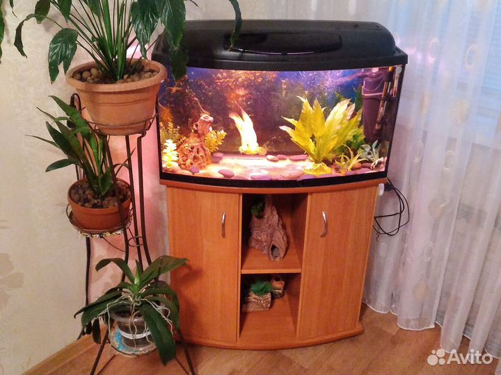 Аквариум 110л