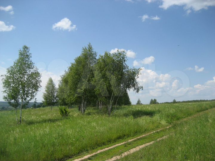 Участок 22 га (ИЖС)