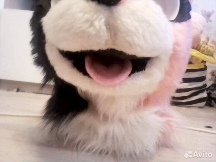 Фурсьют обмен