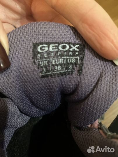 Сапоги Geox 36