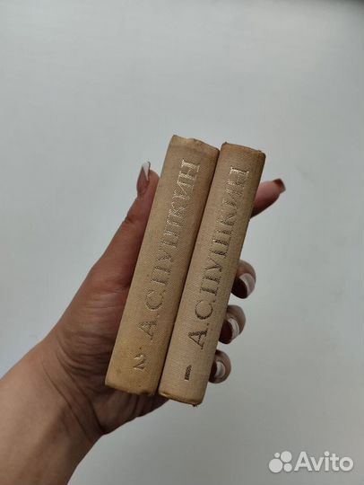 Книги в миниатюре, Пушкин