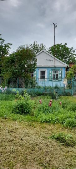 Дом 54,5 м² на участке 20 сот.