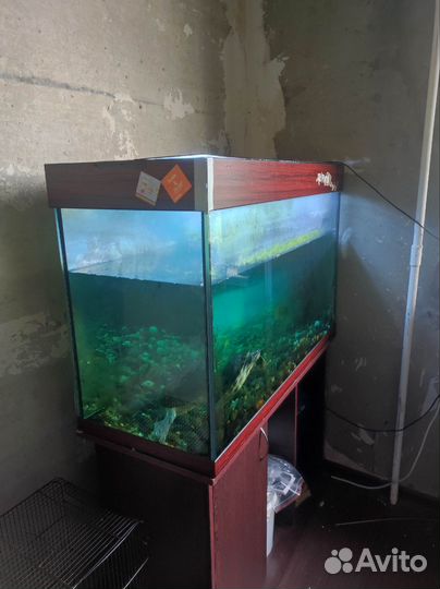 Аквариум 250 литров