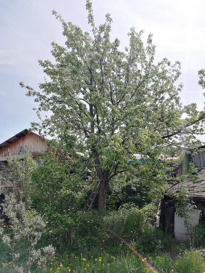 Дом 23 м² на участке 12 сот.