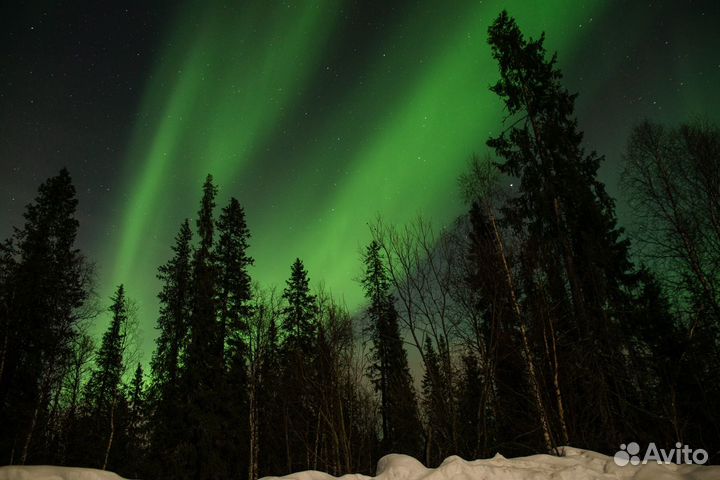 Туры. Териберка. Рыбачий. Хибины. Северное сияние
