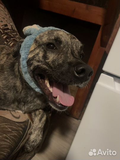 Ищет подругу