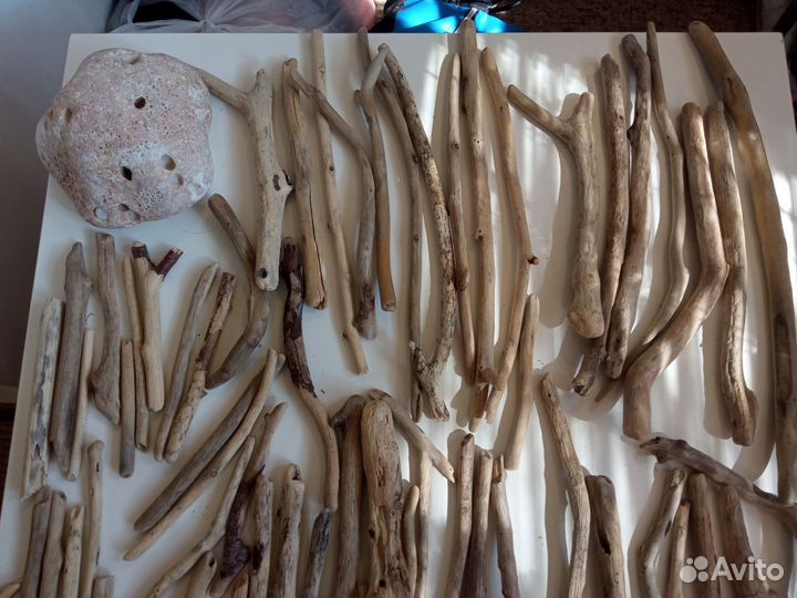 Коряги дрифтвуд